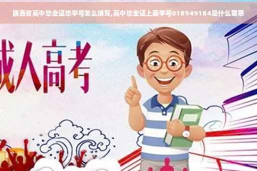 陕西省高中毕业证毕字号怎么填写,高中毕业证上面学号018949184是什么意思
