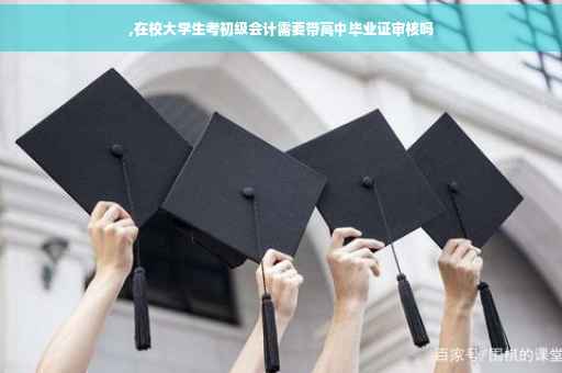,在校大学生考初级会计需要带高中毕业证审核吗