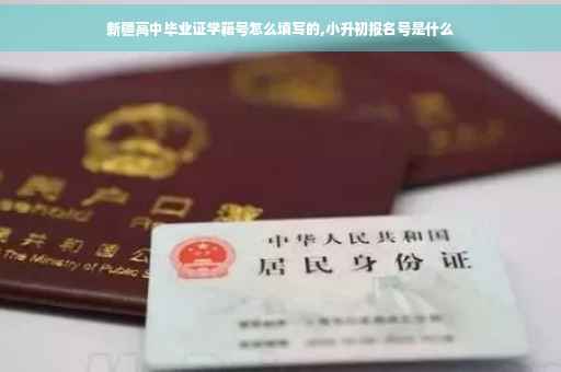 新疆高中毕业证学籍号怎么填写的,小升初报名号是什么