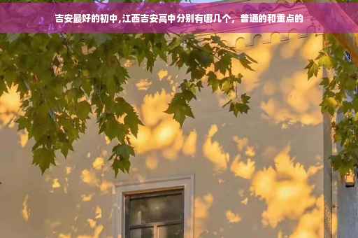 吉安最好的初中,江西吉安高中分别有哪几个，普通的和重点的