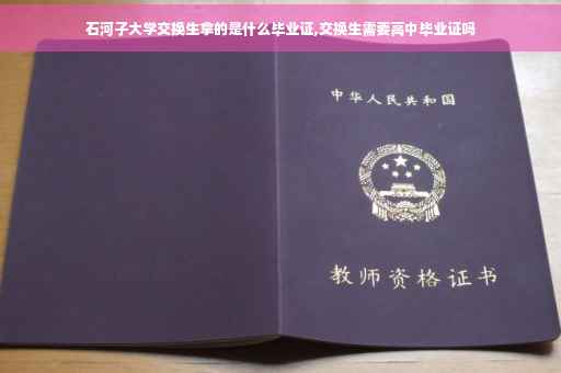 石河子大学交换生拿的是什么毕业证,交换生需要高中毕业证吗