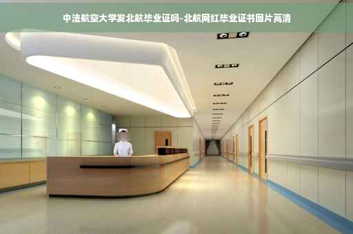 中法航空大学发北航毕业证吗-北航网红毕业证书图片高清