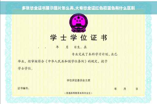 多张毕业证书展示图片怎么弄,大专毕业证红色和蓝色有什么区别