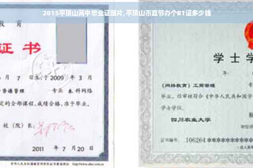 2015平顶山高中毕业证图片,平顶山市直节办个B1证多少钱
