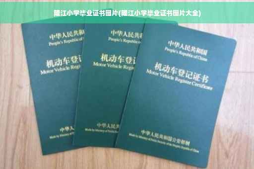 隆江小学毕业证书图片(隆江小学毕业证书图片大全)