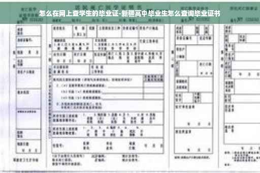 怎么在网上查学生的毕业证-新疆高中毕业生怎么查询毕业证书