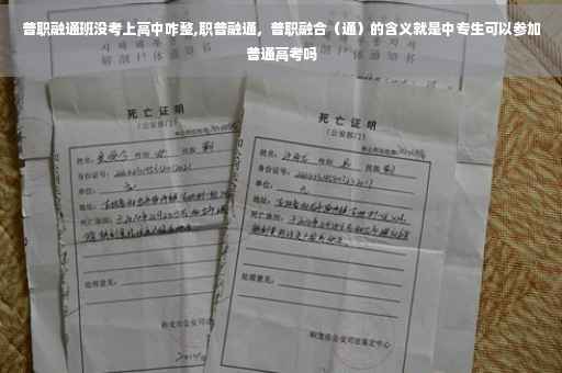 普职融通班没考上高中咋整,职普融通，普职融合（通）的含义就是中专生可以参加普通高考吗