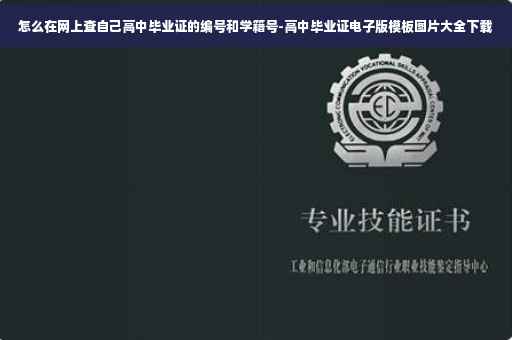 怎么在网上查自己高中毕业证的编号和学籍号-高中毕业证电子版模板图片大全下载