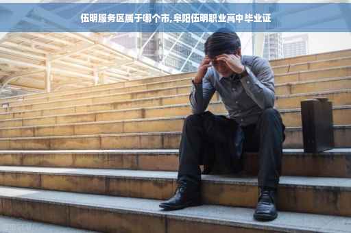 伍明服务区属于哪个市,阜阳伍明职业高中毕业证