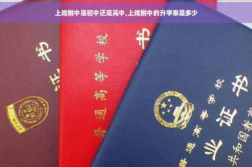 上戏附中是初中还是高中,上戏附中的升学率是多少
