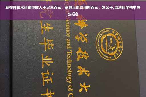 现在种植水稻亩纯收入不足三百元，承包土地费用四百元，怎么干,监利翔宇初中怎么报名