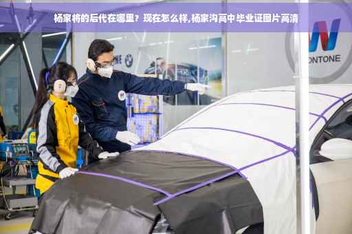 杨家将的后代在哪里？现在怎么样,杨家沟高中毕业证图片高清