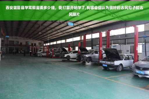 西安蓝田县学驾照需要多少钱，我打算开始学了,有哪些你认为很好的古风句子和古风图片