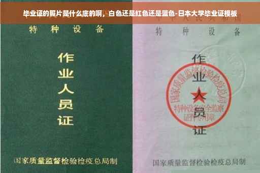 毕业证的照片是什么底的啊，白色还是红色还是蓝色-日本大学毕业证模板