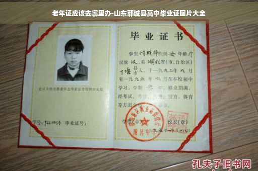老年证应该去哪里办-山东郓城县高中毕业证图片大全