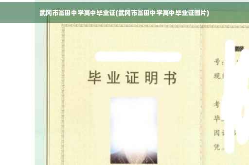 武冈市富田中学高中毕业证(武冈市富田中学高中毕业证图片)