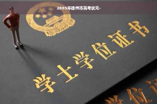 2005年徐州市高考状元-