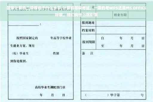 国家计算机二级相当于什么水平,计算机等级考试，一级的考WPS还是MS OFFICE好啊。他们有什么区别啊