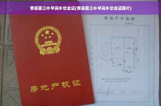 曹县第三中学高中毕业证(曹县第三中学高中毕业证图片)