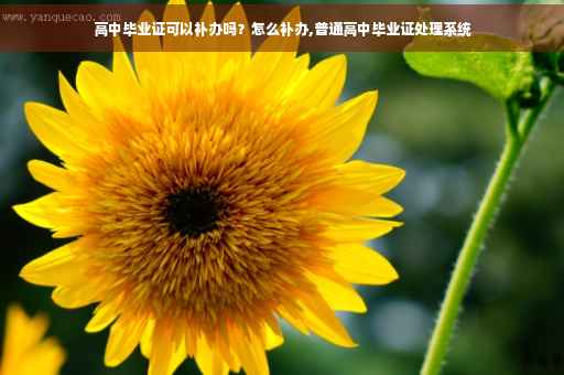 高中毕业证可以补办吗？怎么补办,普通高中毕业证处理系统