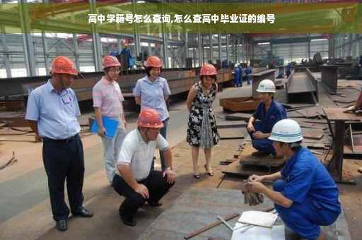高中学籍号怎么查询,怎么查高中毕业证的编号