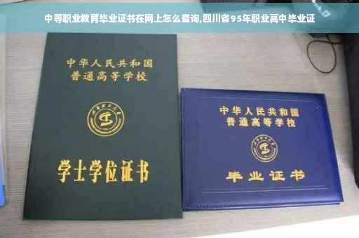 中等职业教育毕业证书在网上怎么查询,四川省95年职业高中毕业证
