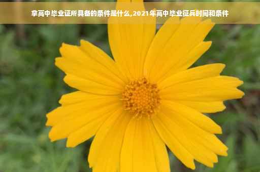 拿高中毕业证所具备的条件是什么,2021年高中毕业征兵时间和条件