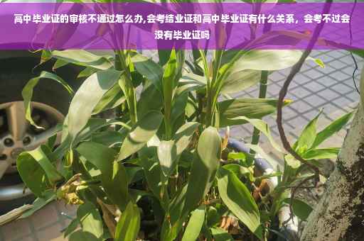 高中毕业证的审核不通过怎么办,会考结业证和高中毕业证有什么关系，会考不过会没有毕业证吗