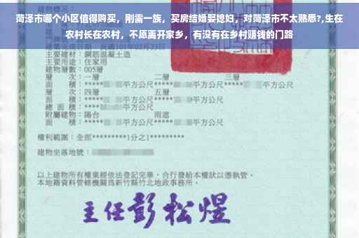 菏泽市哪个小区值得购买，刚需一族，买房结婚娶媳妇，对菏泽市不太熟悉?,生在农村长在农村，不愿离开家乡，有没有在乡村赚钱的门路
