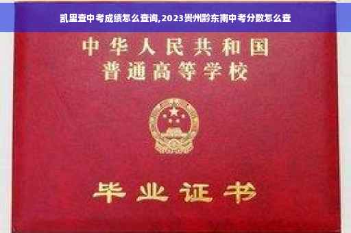 凯里查中考成绩怎么查询,2023贵州黔东南中考分数怎么查