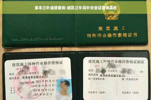 宝丰三中成绩查询-城区三中高中毕业证查询系统