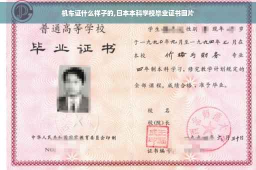 机车证什么样子的,日本本科学校毕业证书图片
