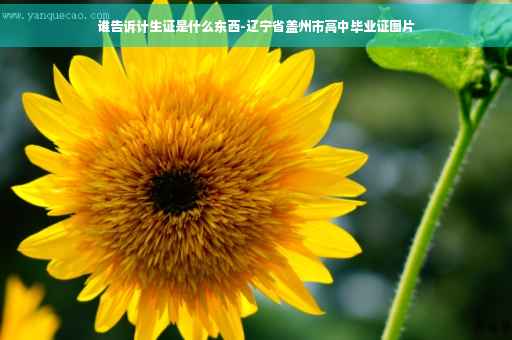 谁告诉计生证是什么东西-辽宁省盖州市高中毕业证图片