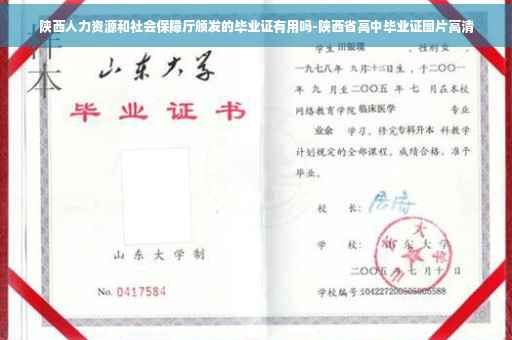 陕西人力资源和社会保障厅颁发的毕业证有用吗-陕西省高中毕业证图片高清