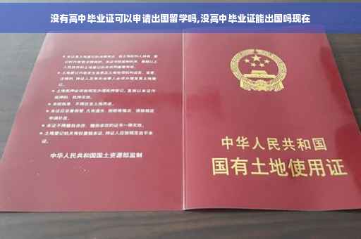 没有高中毕业证可以申请出国留学吗,没高中毕业证能出国吗现在