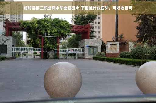 临朐县第三职业高中毕业证图片,下图是什么石头，可以收藏吗