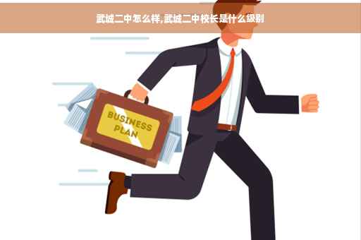 武城二中怎么样,武城二中校长是什么级别