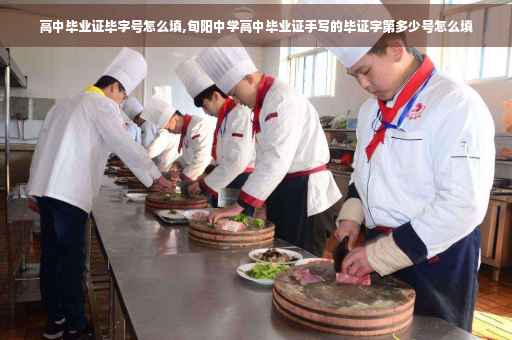 高中毕业证毕字号怎么填,旬阳中学高中毕业证手写的毕证字第多少号怎么填