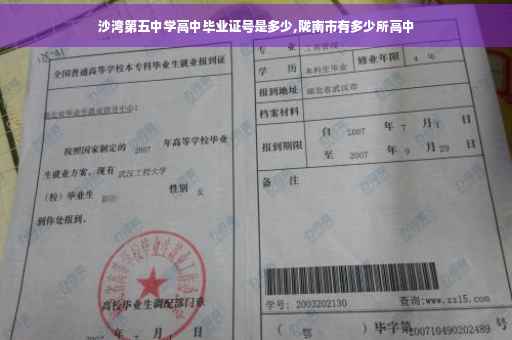 沙湾第五中学高中毕业证号是多少,陇南市有多少所高中