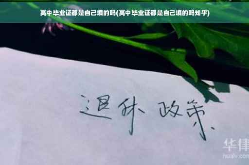 高中毕业证都是自己填的吗(高中毕业证都是自己填的吗知乎)