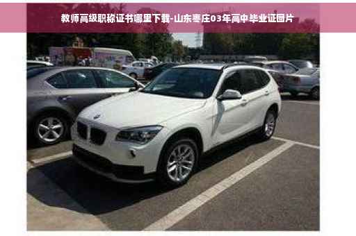 教师高级职称证书哪里下载-山东枣庄03年高中毕业证图片
