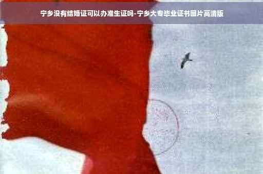 宁乡没有结婚证可以办准生证吗-宁乡大专毕业证书图片高清版