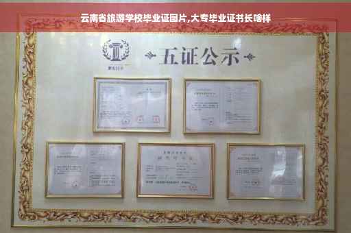 云南省旅游学校毕业证图片,大专毕业证书长啥样