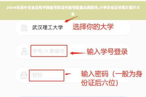 2004年高中毕业证有学籍编号和证书编号能查出真假吗,小学毕业证书照片图片大全
