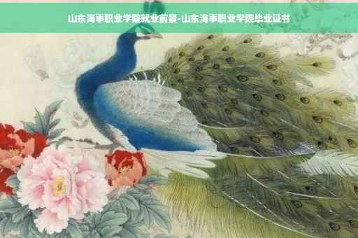 山东海事职业学院就业前景-山东海事职业学院毕业证书