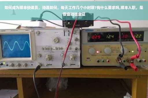 如何成为顺丰快递员，待遇如何，每天工作几个小时啊?有什么要求吗,顺丰入职，是否查验毕业证