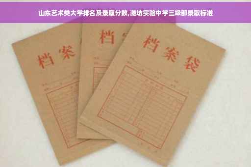 山东艺术类大学排名及录取分数,潍坊实验中学三级部录取标准