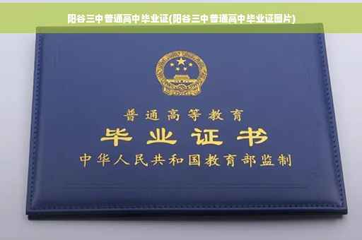 阳谷三中普通高中毕业证(阳谷三中普通高中毕业证图片)