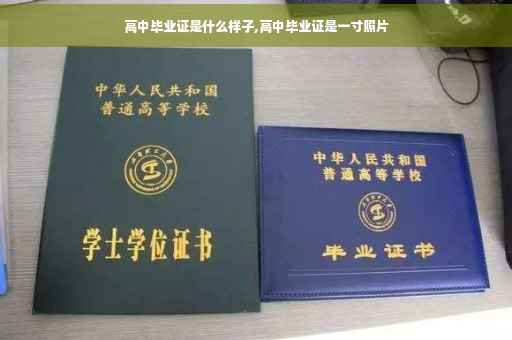 高中毕业证是什么样子,高中毕业证是一寸照片