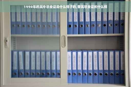 1990年的高中毕业证是什么样子的,普高毕业证长什么样